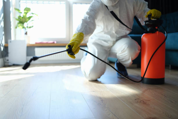 Reliable Hoarding Cleanup contractor in Marietta, GA by Dulley Family Biohazard Services